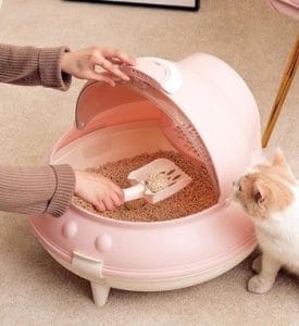 Cát vệ sinh cho mèo: Hướng dẫn chọn lựa và sử dụng hiệu quả 4 Hình : Cách vệ sinh cát cho mèo hiệu quả