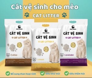 Cát vệ sinh cho mèo: Hướng dẫn chọn lựa và sử dụng hiệu quả 2 Hình 2: Top 5 loại cát vệ sinh cho mèo được ưa chuộng nhất hiện nay