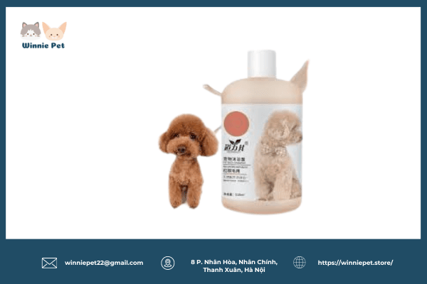 Sữa tắm cho chó Poodle năm 2024 4 Sữa tắm cho chó Poodle của Dorrikey