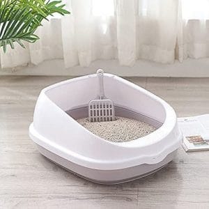 Cát vệ sinh cho mèo: Hướng dẫn chọn lựa và sử dụng hiệu quả 5 Hình : Những lưu ý khi sử dụng cát vệ sinh cho mèo