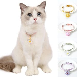 Top 4 Vòng Cổ Thú Cưng Đẹp và An Toàn Cho Thú Cưng 2 vong co da