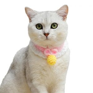 Top 4 Vòng Cổ Thú Cưng Đẹp và An Toàn Cho Thú Cưng 1 vong co cho meo5