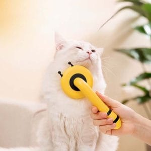 Bé 4 chân được hôi? Phải làm sao? Cách để thú cưng thơm 6 Cách để thú cưng thơm
