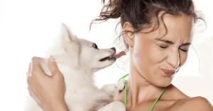 Thú cưng bị hôi? - Sữa tắm cho thú cưng - Winniepet 2 Sữa tắm cho thú cưng